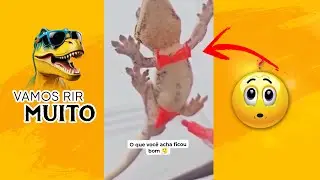 Os Momentos Mais Engraçados da Internet que Vão Te Fazer RIR!