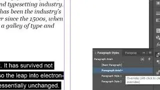 InDesign Character and Paragraph Styles