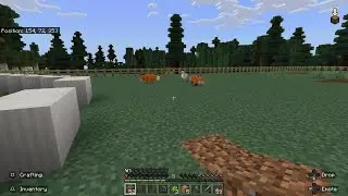 Double Fox Jump
