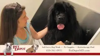 Pet Depot Commercial Timonium Maryland
