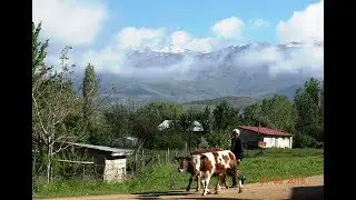 BAHÇELİ KÖYÜ  /  Gümüşhane/Şiran_2017