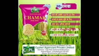 Cypher  agricare pvt ltd best quality  paddy seed research  paddy &hybrid paddy seeds