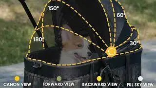 3-in-1 Stroller That Does It All! 🧳🐾 Travel Smart with Your Pet