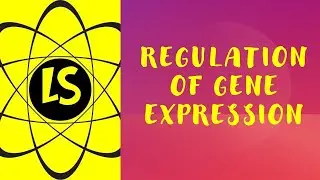Regulation of Gene Expression