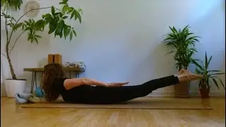 Somatic Salabhasana - Locust Pose