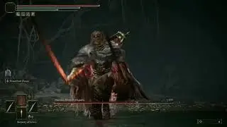 Elden Ring - Training with Malenia [18] (WFD Dodge Usual Tech) NG12+ [Patch 1.07.1]