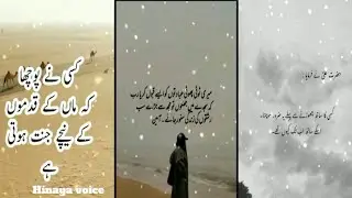 Urdu sayari 😔❤️🕊️✨ urdu poetry sed sayari urdu quotes