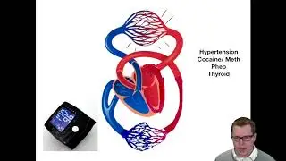 ADHF in EMS part 2