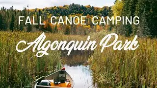 FALL CANOE CAMPING IN ALGONQUIN PARK | 8-DAY LOOP