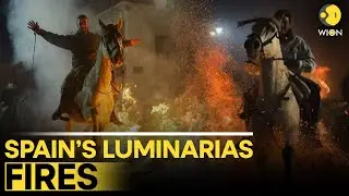 Spain LIVE: Horses Leap Across Purifying Fires During Spain’s Luminarias Festival | WION