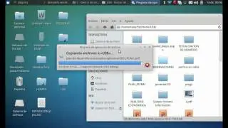 Remove Virus From Your Pen Drive on Linux - Quitar Virus de tu Mermoria Flash en Linux