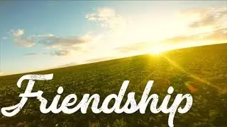 Friendship | FPV Cinematic