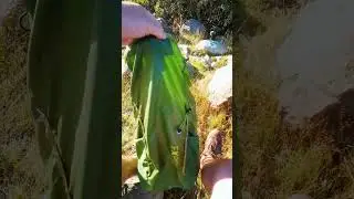 EXPED Typhoon 25 - a quick look