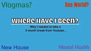 What's Been Going On In My Life Over The Past 5 Months