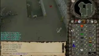 85 Slayer