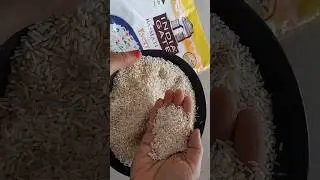 India Gate Everyday Basmati Rice Review #vegfoodz #ytshorts #review #basmatirice #indiagate