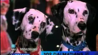 AT&T Broadband Commercial