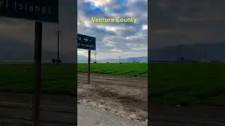 #farmworkers #california #farmers #missing #venturacounty @VickysTownChronicles