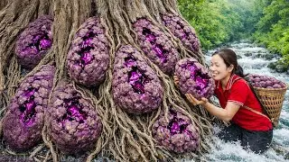 Harvests Wild Purple Custard Apples SOLD OUT Fast | Tiny Wild Fruits Turned Into Rare Fragrant Wine