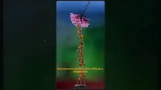 Do Ants Share One Mind? #mindblown #facts #wildlifeentertainment #ants #viralvideo #shorts