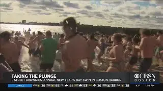 Hundreds Enjoy L Street Brownies Annual Polar Plunge In South Boston