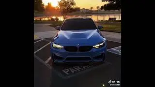 BMW M5 Gang