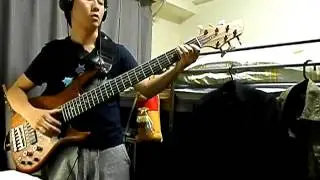 【salyu × salyu】　Mirror Neurotic（BASS Cover）