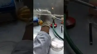 Enumeration of bacteria