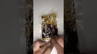 Пересыпаем табак из упаковки #shorts #short #hookah #кальян #asmr #рекомендации #shisha #асмр #рек