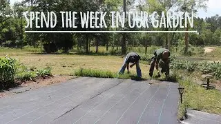 our week in the garden |transplanting veggies| tractor supply haul | starting seeds