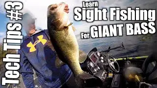 How to Sight Fish for Giant Bass: Tech Tips #3