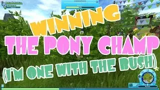 Winning The Pony Champ Star Stable