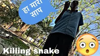 साप मारुन केल कबुल | Snake rescued | Adarsh Wadkar | vlogs