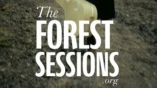 Forest session with The Magic Lantern - Holding Hands