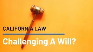 Challenging a Will? Watch This FIRST!