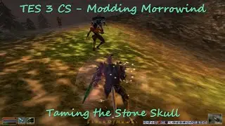 20Z16 09-10  Modding Morrowind * Stone Skull : Wavecount Limit , 16' HD