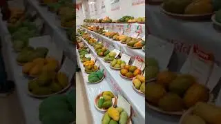 Lucknow Mango Festival Avadh shilp Gram #lucknow #famous #mango