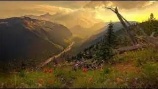 Relaxing with nature #deepsleepsound #relax