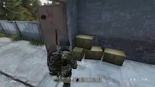 DayZ