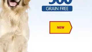 Самый полезный корм для кошек. Корм для собак.  PET360 - Итальянское качество