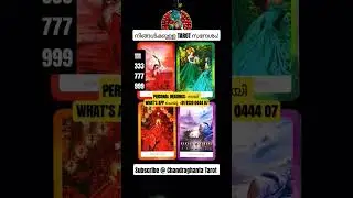 #shortsvideo #tarotshorts #tarotguidance #malayalamtarot #ctarot #timelessguidance