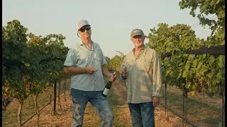 Growing Wine