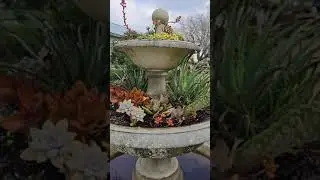 Seven Sisters Nursery