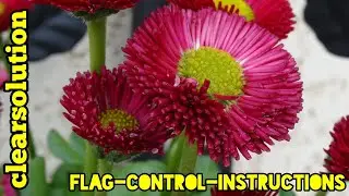 Flag-control-instructions