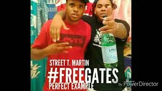 PERFECT EXAMPLE - #FREEGATES STREET T. MARTIN