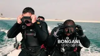 Introducing the Seascapers