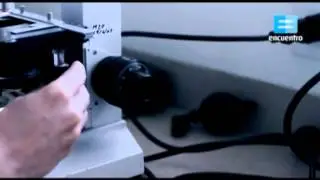 Un d&iacute;a de trabajo: Bioqu&iacute;mica - Canal Encuentro