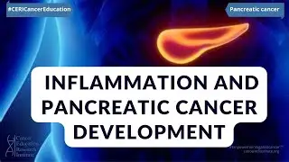 Link between INFLAMMATION and PANCREATIC CANCER development uncovered | Cancer Ed & Res Institute