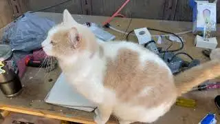 Let's make a unique desk lamp robot with an outlet + USB ports!