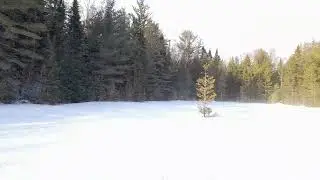 Algonquin Park - Peck Lake Trail